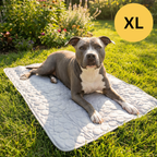Tapis rafraîchissant pour l'été