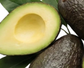 Extrait de vitamine E
