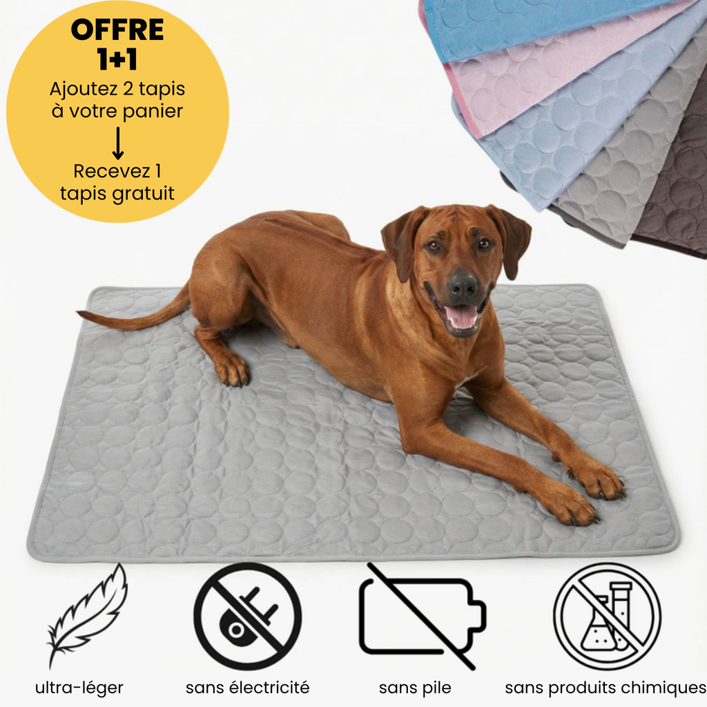 Tapis rafraîchissant pour l'été
