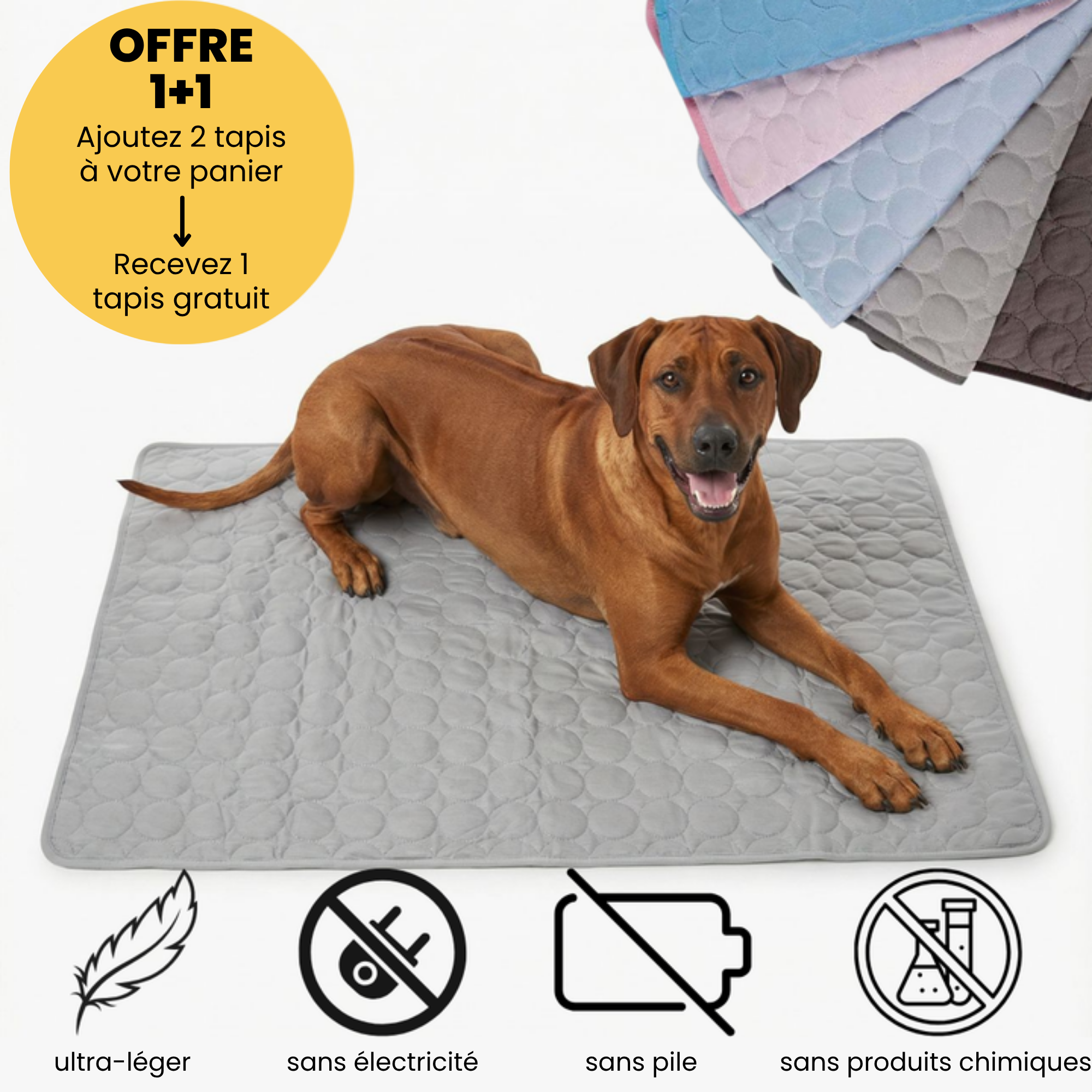 Tapis rafraîchissant pour l'été
