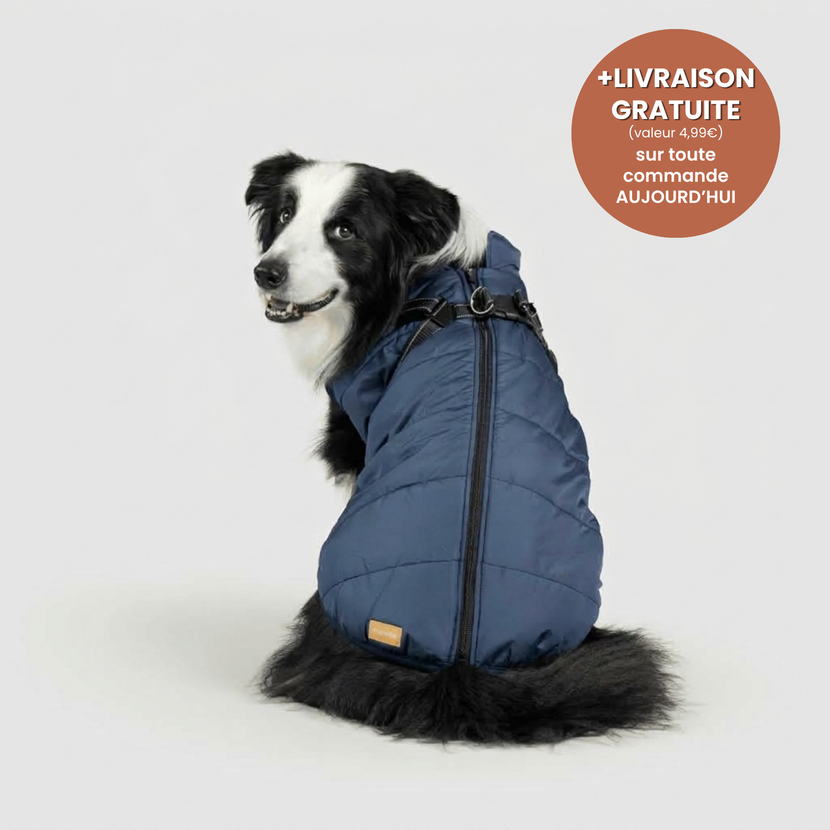 Manteau 3-en-1 Vira™