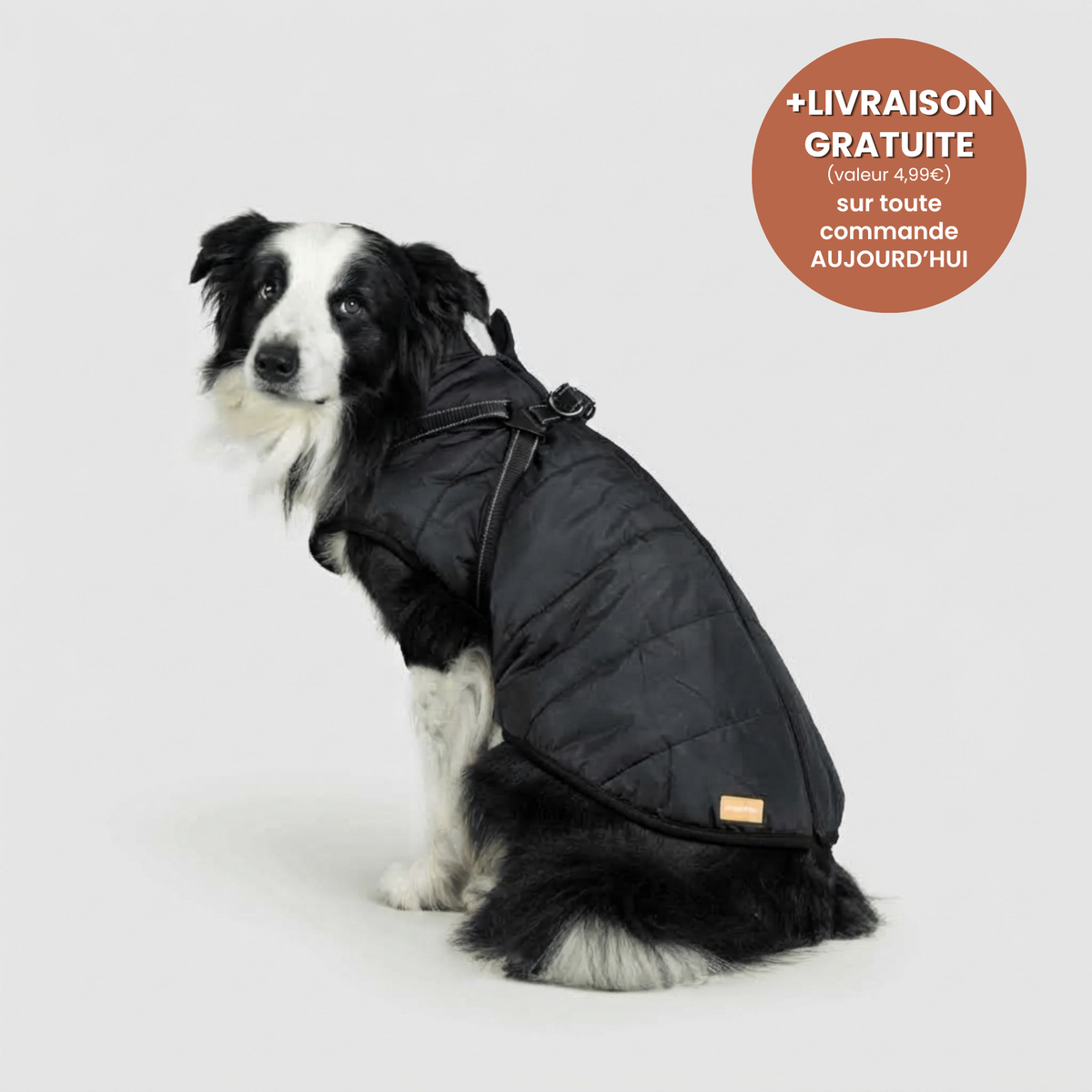 Manteau 3-en-1 Vira™