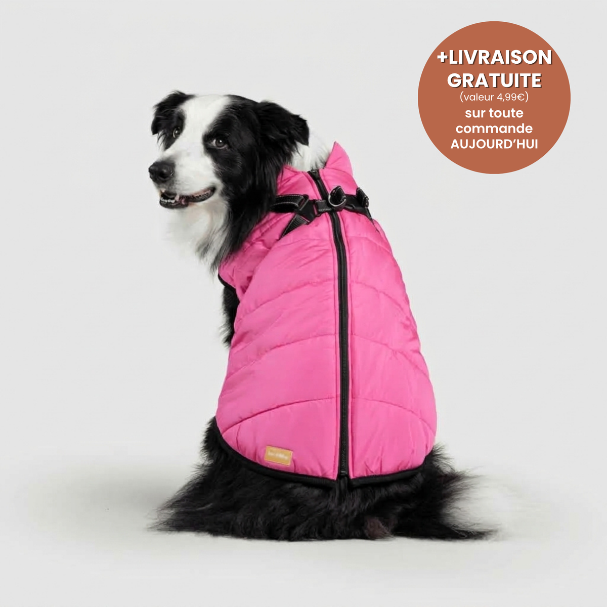Manteau 3-en-1 Vira™