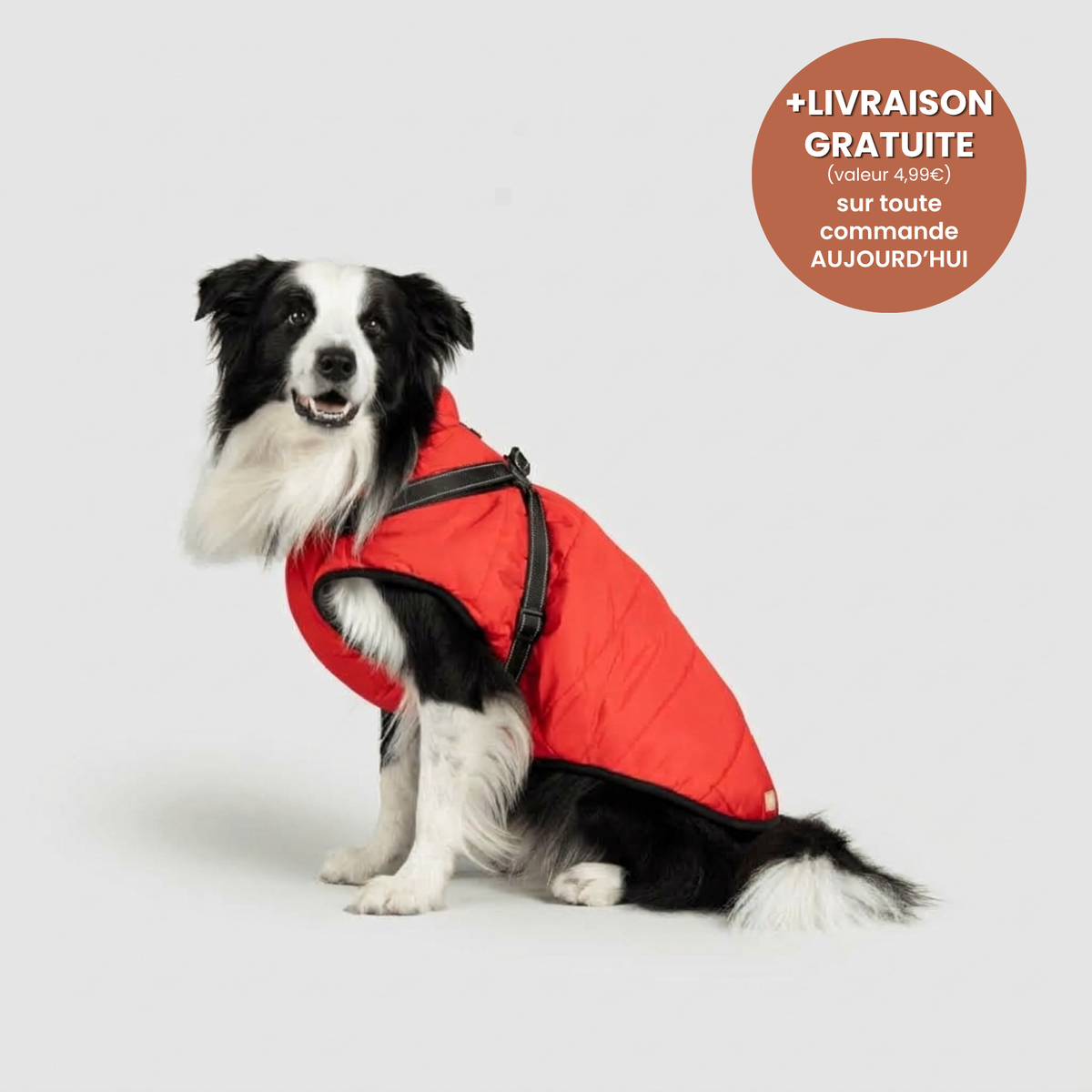 Manteau 3-en-1 Vira™