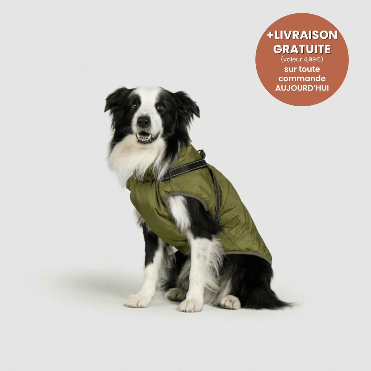 Manteau 3-en-1 Vira™
