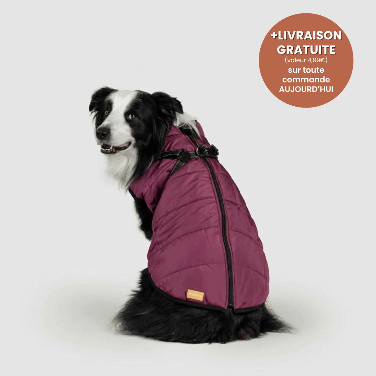 Manteau 3-en-1 Vira™