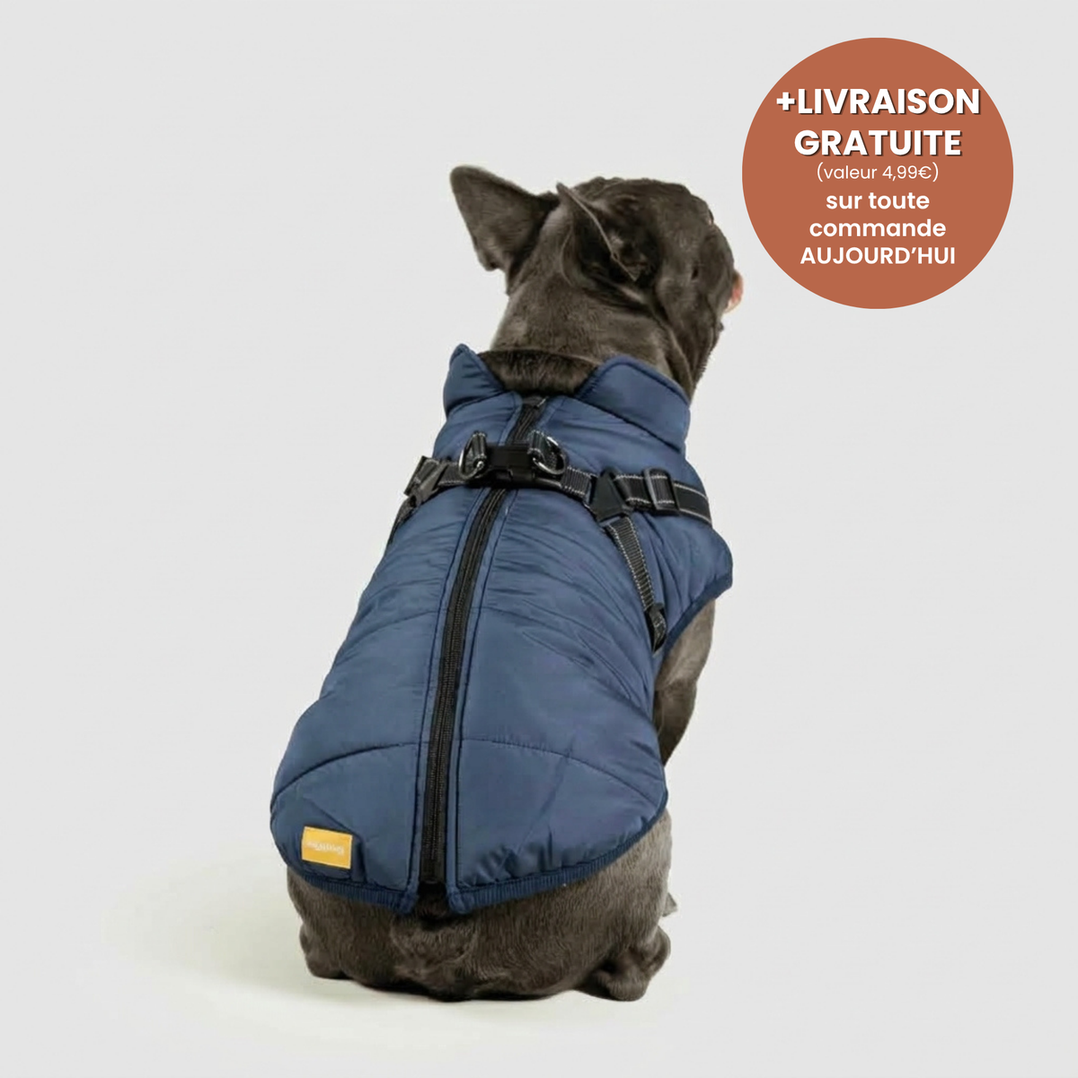 Manteau 3-en-1 Vira™