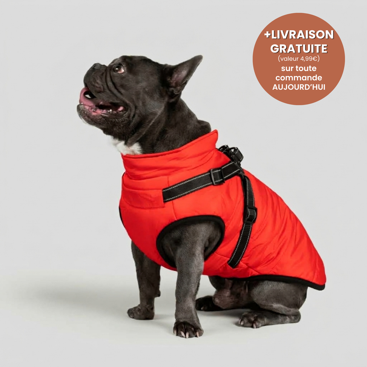 Manteau 3-en-1 Vira™