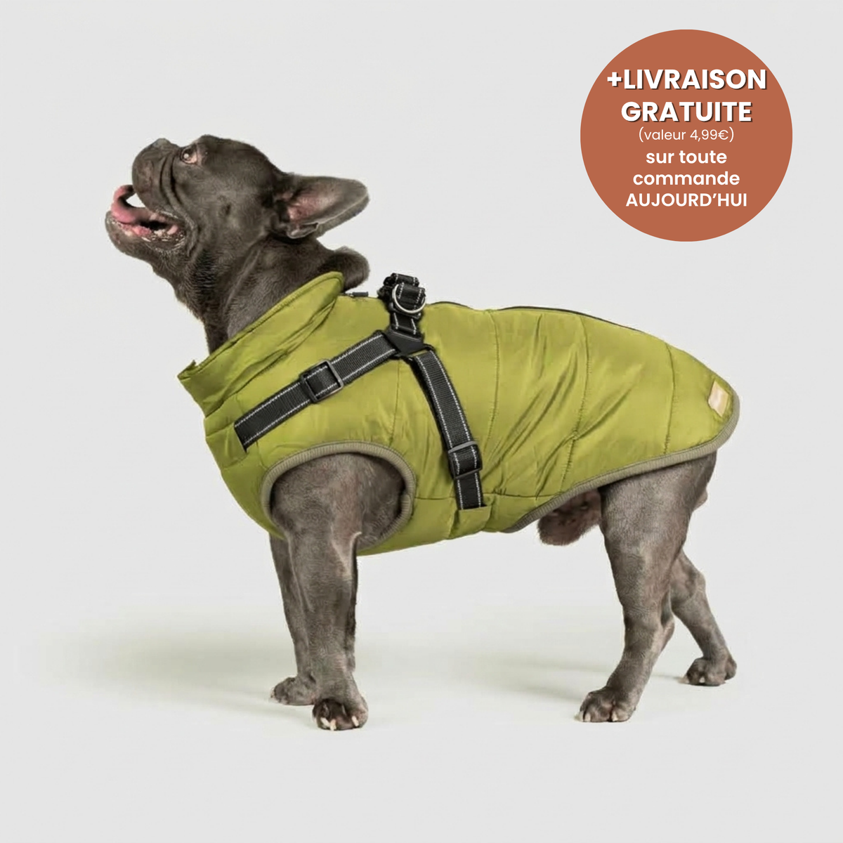 Manteau 3-en-1 Vira™