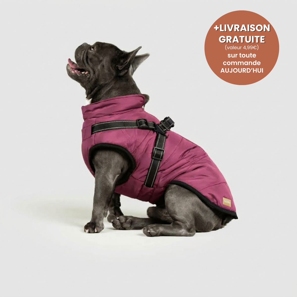Manteau 3-en-1 Vira™
