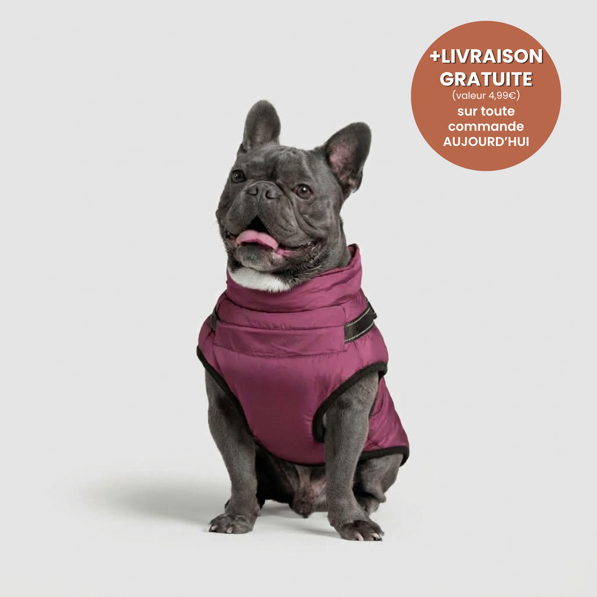 Manteau 3-en-1 Vira™