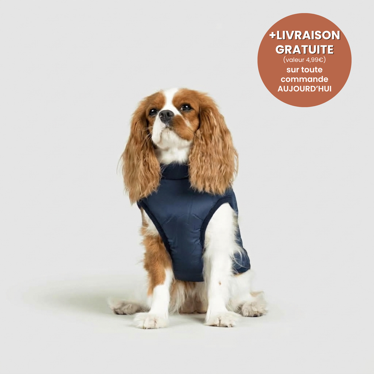 Manteau 3-en-1 Vira™