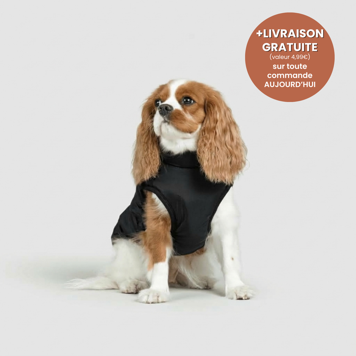 Manteau 3-en-1 Vira™