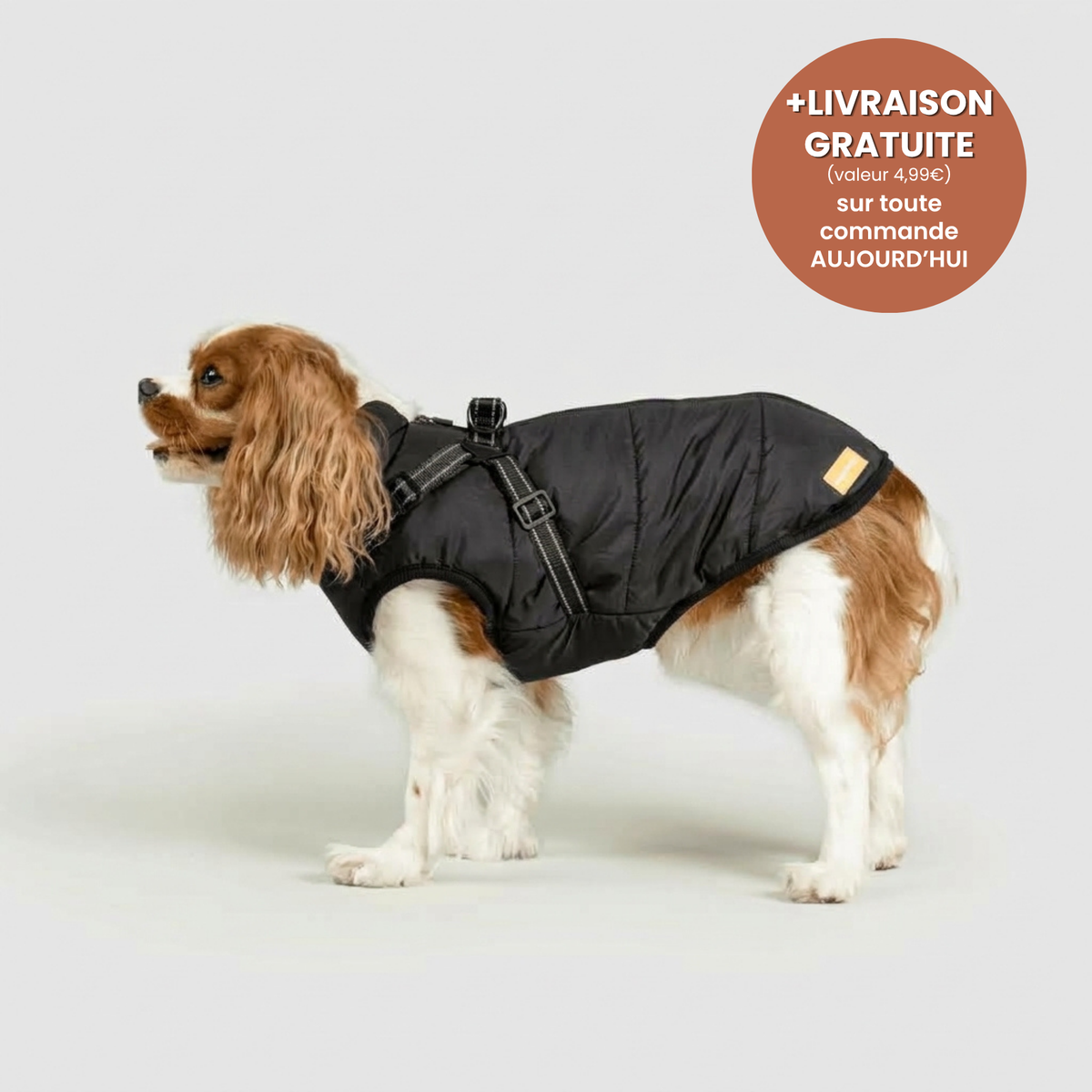 Manteau 3-en-1 Vira™