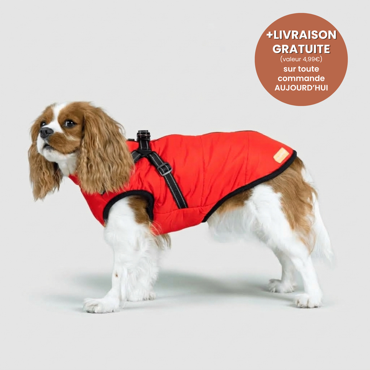 Manteau 3-en-1 Vira™