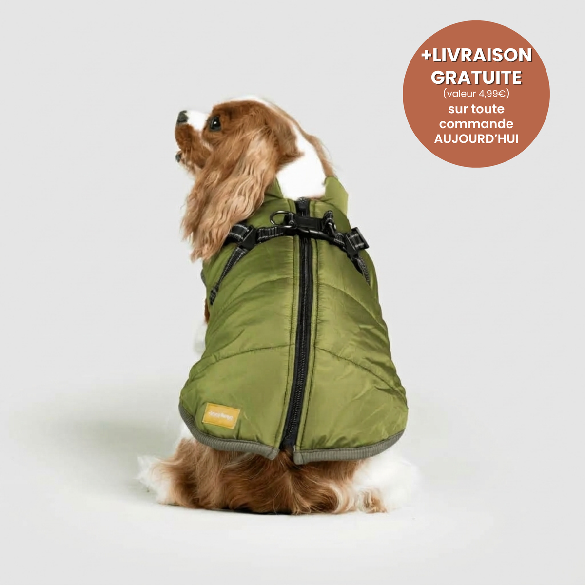 Manteau 3-en-1 Vira™