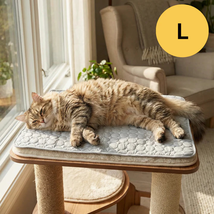 Tapis rafraîchissant pour l'été